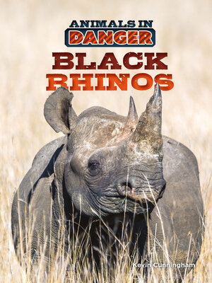 cover image of Black Rhinos